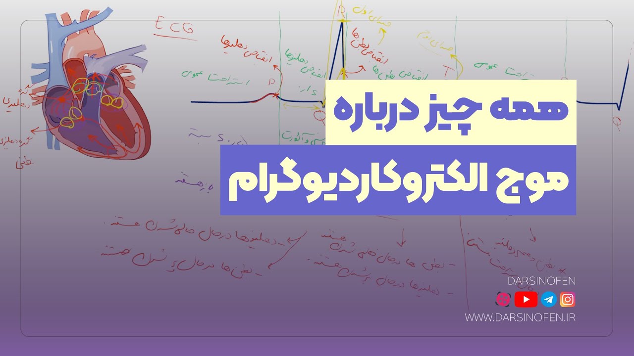 همه چیز درباره نوار قلب یا موج PQRST (موج الکتروکاردیوگرام ) | آموزش زیست شناسی مبحث گردش مواد - قلب