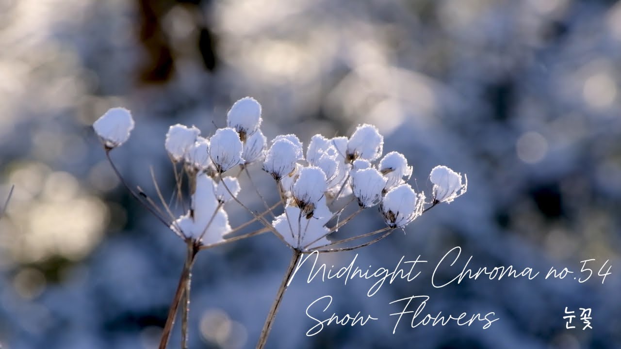 How Long Till I See You? No.54 'Snow Flowers' by Midnight Chroma