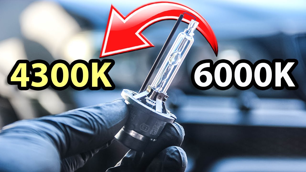 Какой ксенон выбрать по температуре Разница между лампами 4300K и 6500K на примере ксеноновых ламп