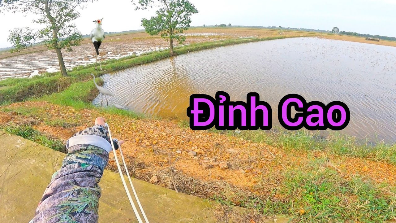 Đi Săn Bằng Ná Cao Su - Chạy Xe Bem Cò - Slingshot Hunting Tập 300