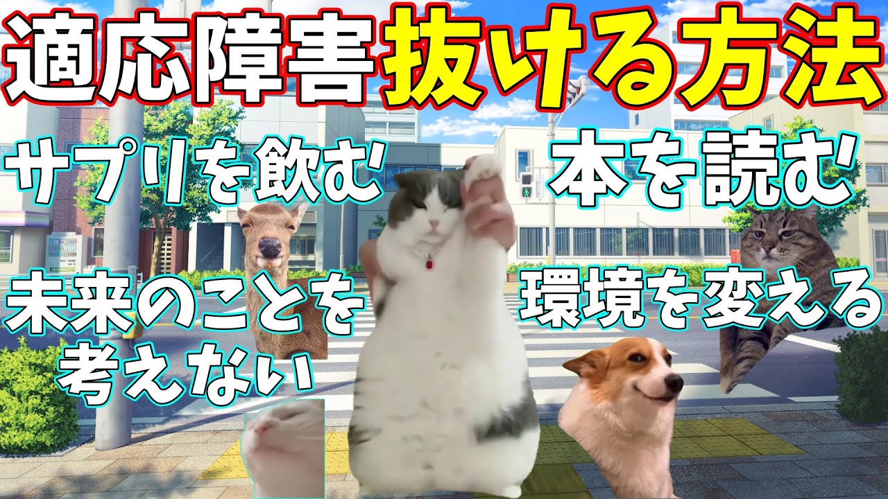 【猫ミーム】適応障害から抜けるためにやった4つのコト😮 #猫ミーム #猫マニ