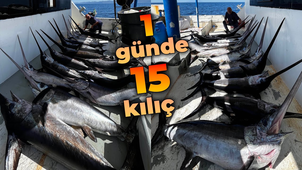 1 GÜNDE 15 KILIÇ YAKALADIK, SEZON REKORU! | 206.250 TL KAZANDIK!