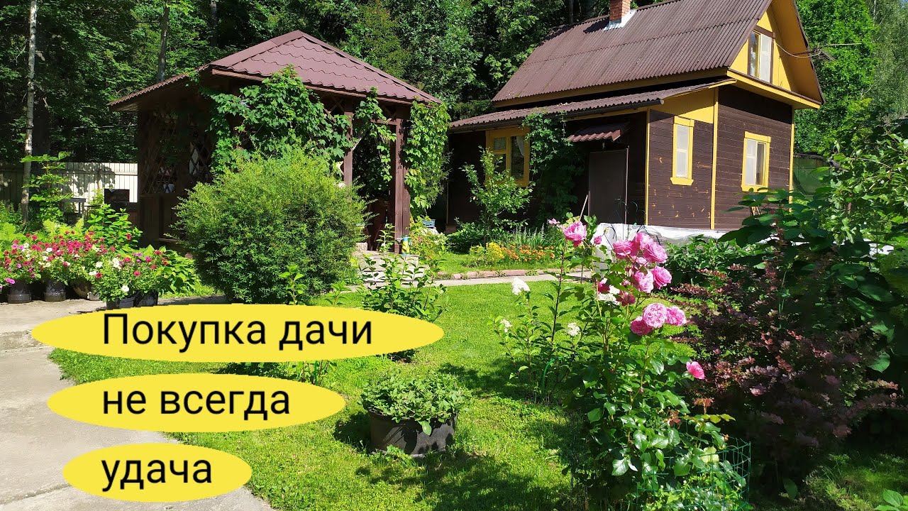 Как мы покупали дачу в СНТ. Как избежать ошибок, советы бывалых...