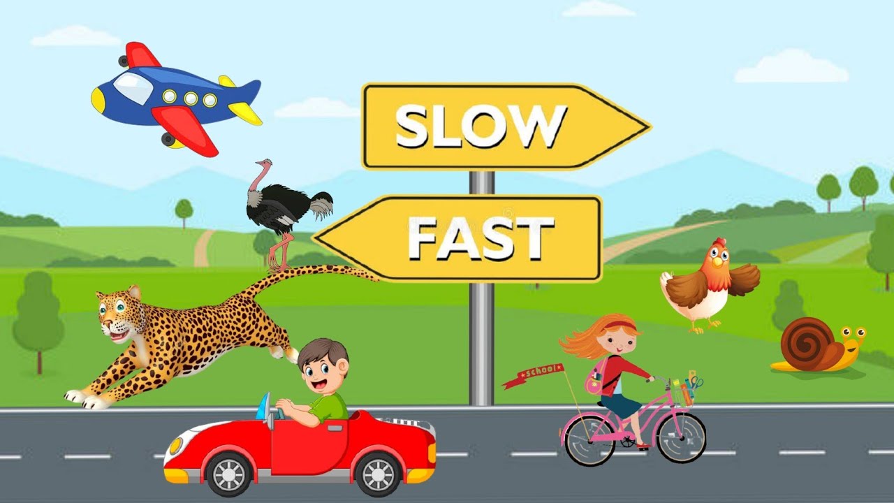 Fast and slow/Fast and slow concept  for Kindergarten||pre number concept for preschooler