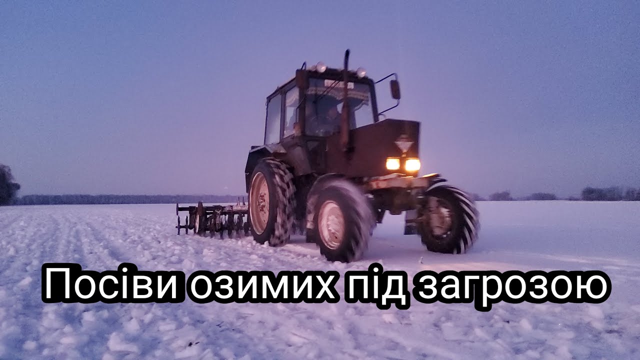 Рятувати озимі❓чи залишити під кригою❌😱