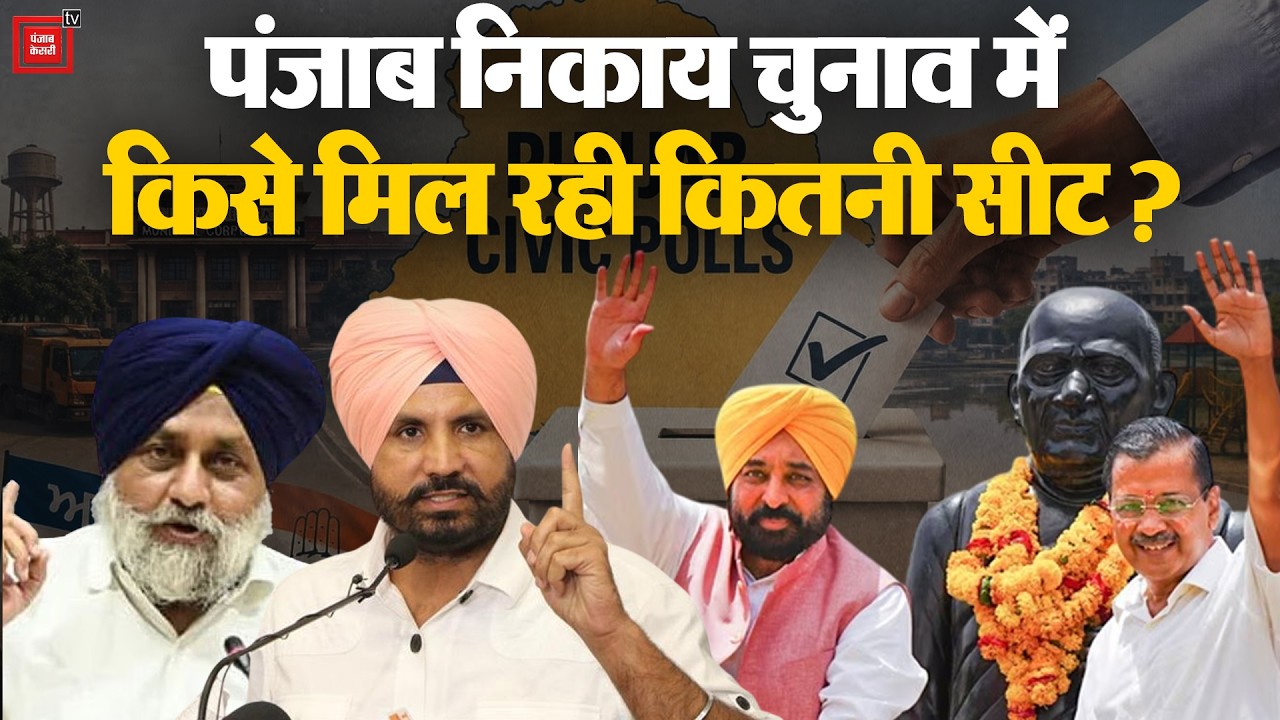 Punjab Municipal Election Results: Who is winning how many seats in the Punjab MC Elections? | Co...