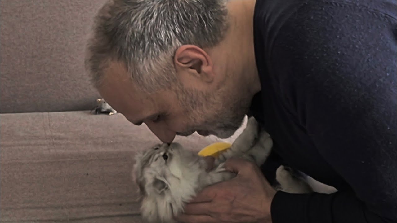 Отвечаем на Ваши вопросы 😊 1-часть 