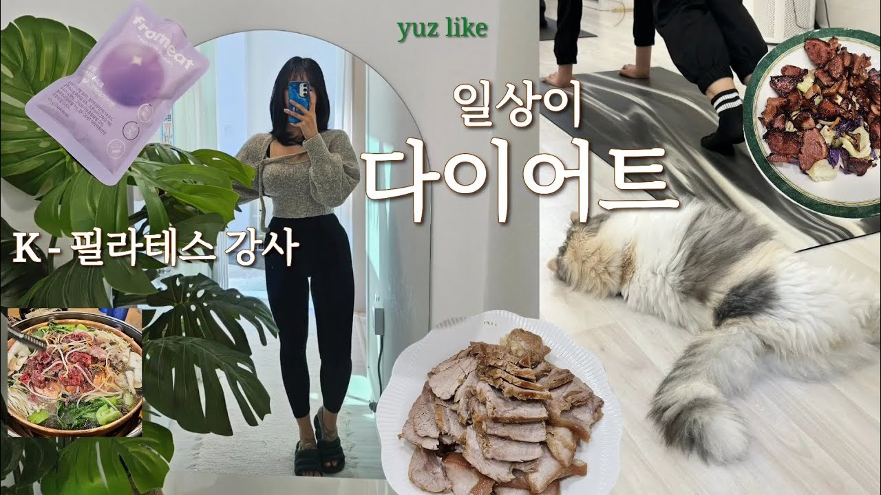 163cm 59kg 필라테스 강사 브이로그 | 유지 다이어트 | 다이어트 브이로그 | productive vlog | 단백질 쉐이크 추천 | 살이 빠질 수 밖에 없는 꿀팁