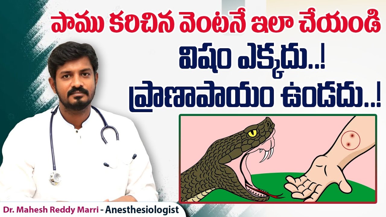 పాము కాటుకు చికిత్స || First aid for Snakebite in Telugu || Snake Bite Treatment || One Hospitals