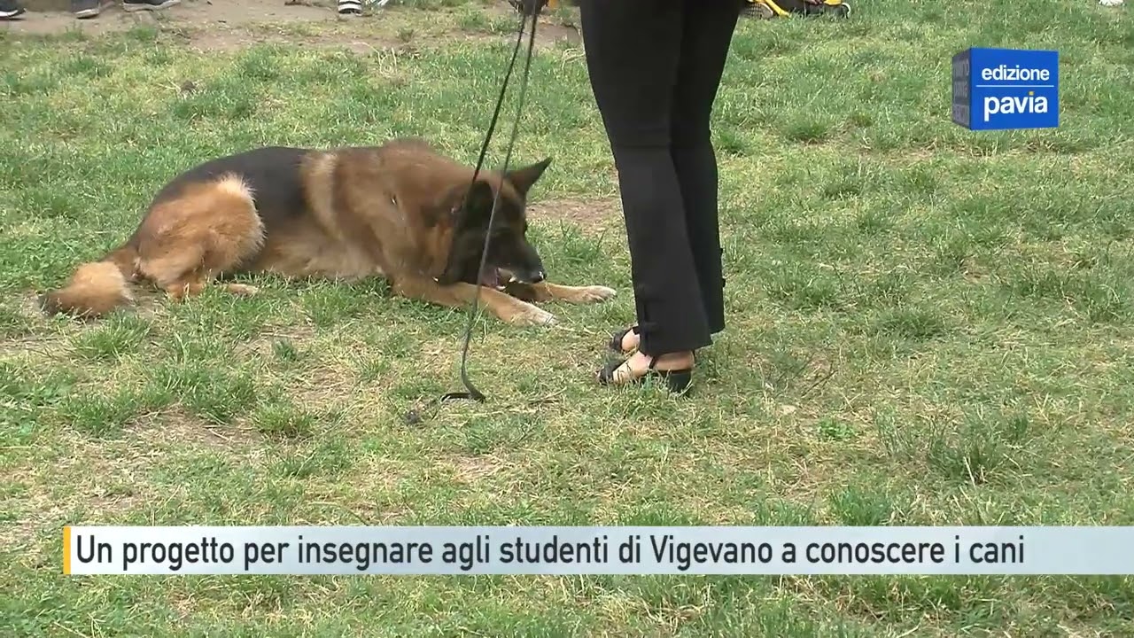 Un progetto per insegnare agli studenti di Vigevano a conoscere i cani