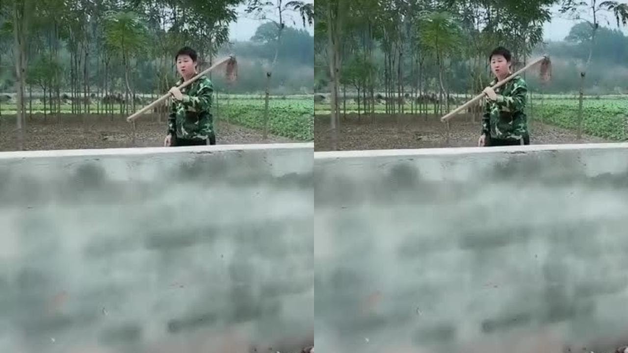 #乡村生活#搞笑#农村生活