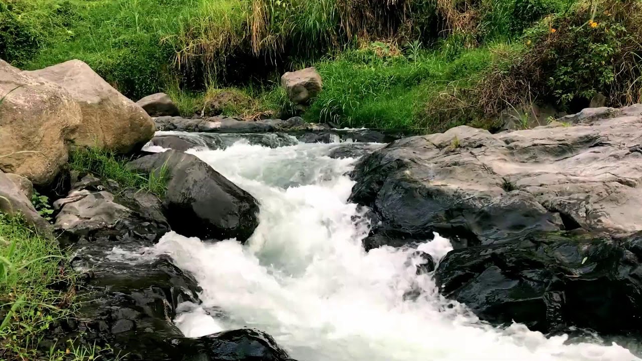 Freshwater Stream Nature ASMR for Body Restoration, Self-Care