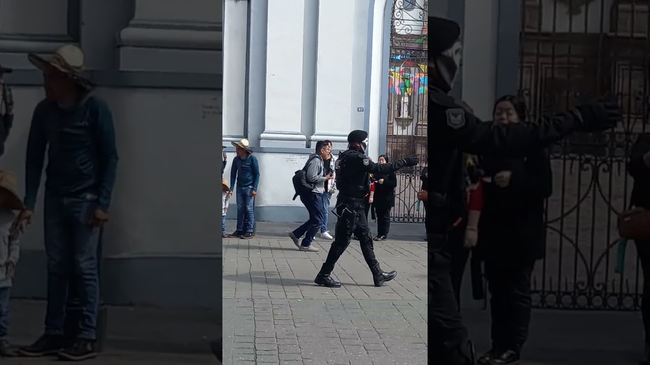 Desfile 2025. Toluca Estado de México 