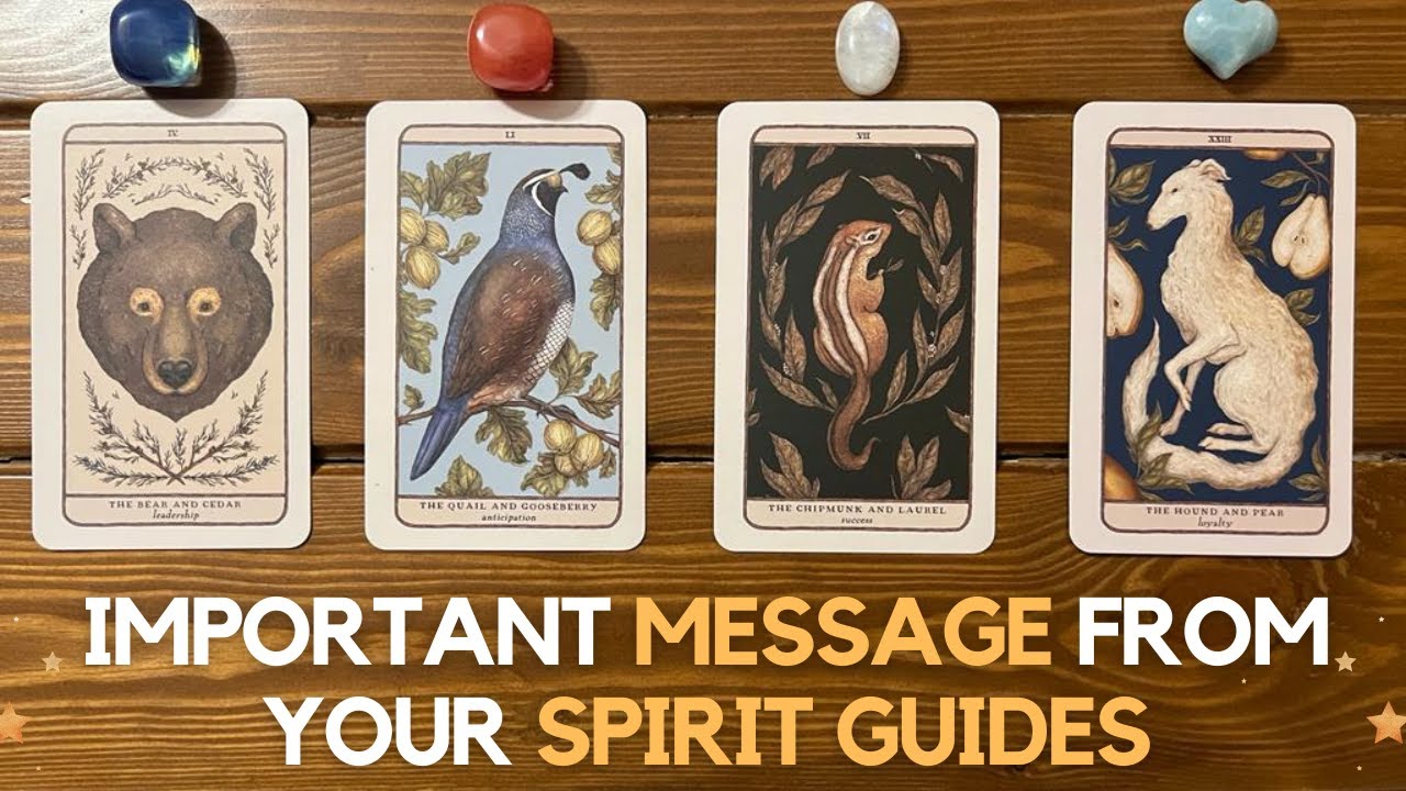 Important message from your spirit guides! ✨😇✨ | Pick a card