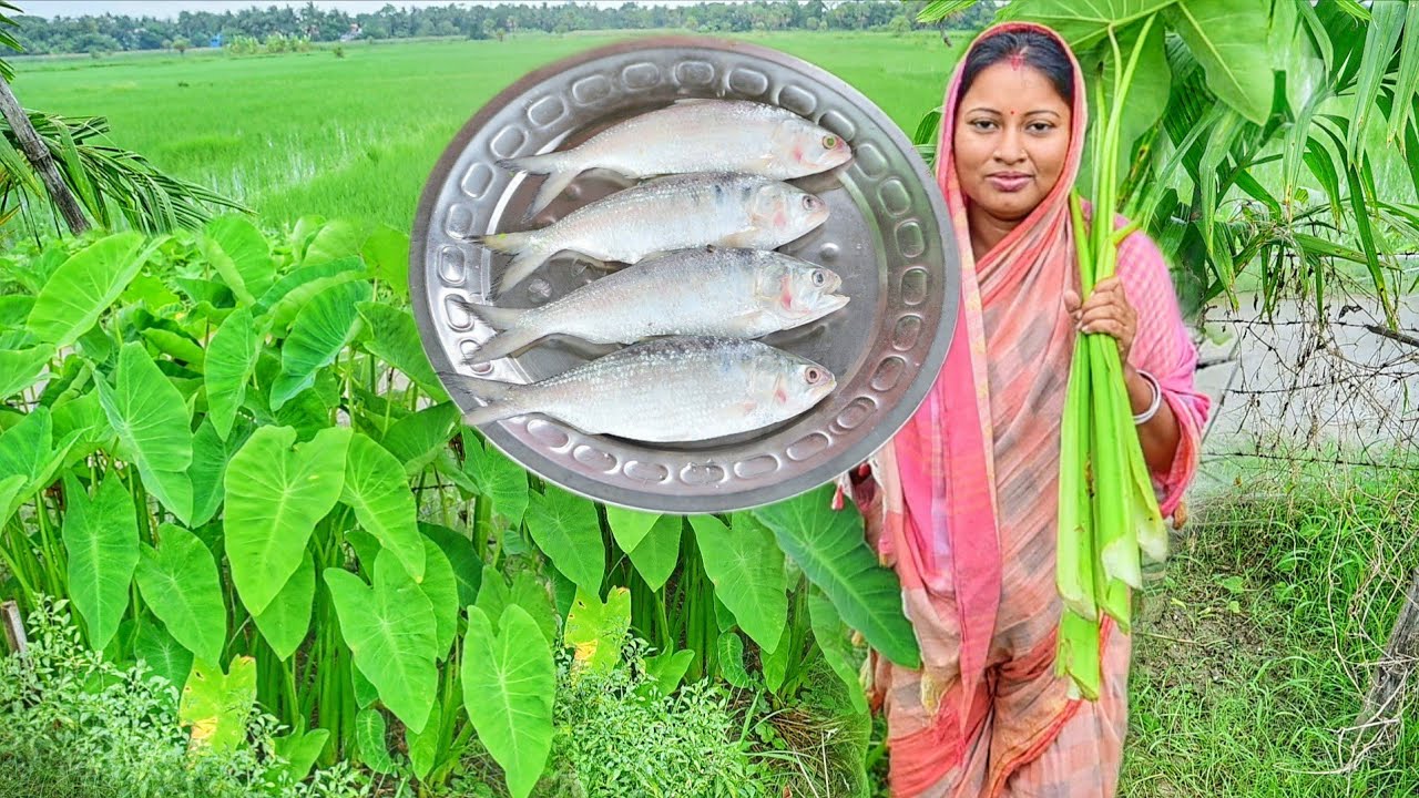 আজ ইলিশ মাছের মাথা দিয়ে কচুশাক রান্না করলাম সাথে ইলিশ মাছের ঝাল আর দুপুরে খাওয়া দাওয়া