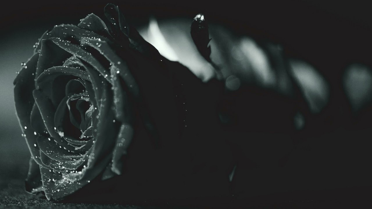 DONT CRY JONI (remix)