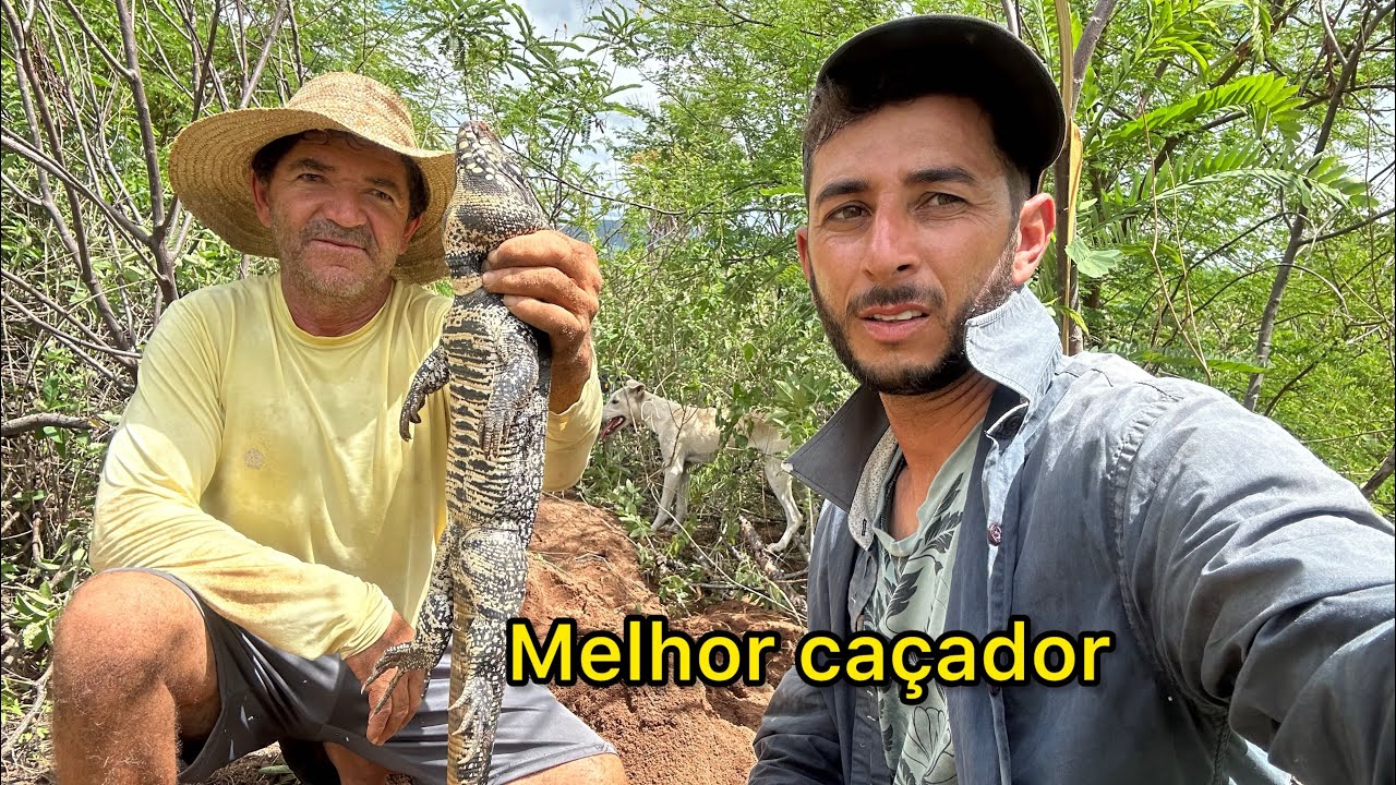 Como é caça largato grande com uma pessoa experiente largato sobe no pé de coqueiro pós soltura