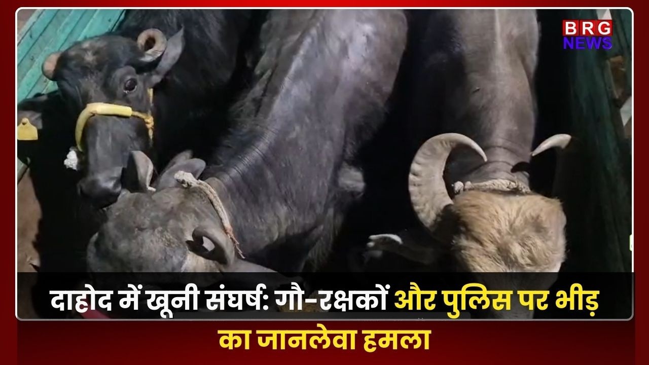 दाहोद में खूनी संघर्ष: गौ-रक्षकों और पुलिस पर भीड़ का जानलेवा हमला