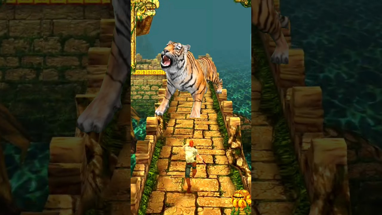 Tiger Attack Me 🤯 | #shorts | #2729