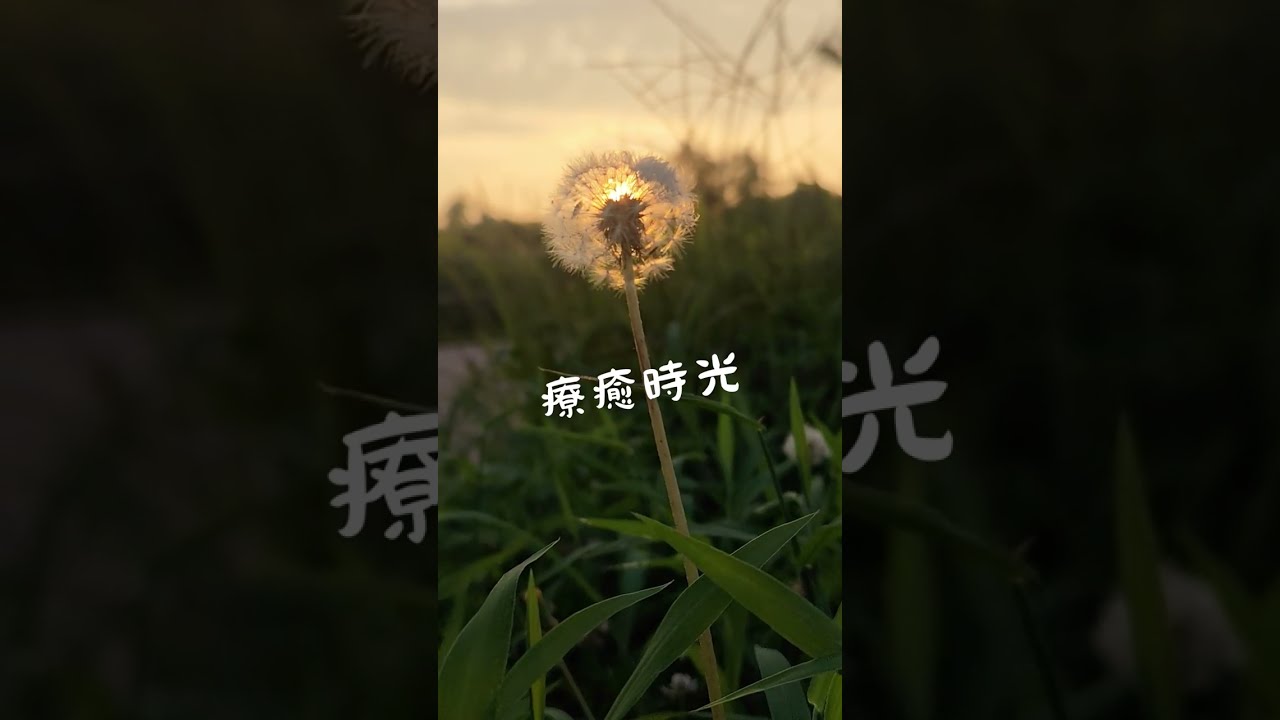 流動的情緒：一場由原聲樂器交織的感染力編曲 ｜ Neoclassical Folk Acoustic