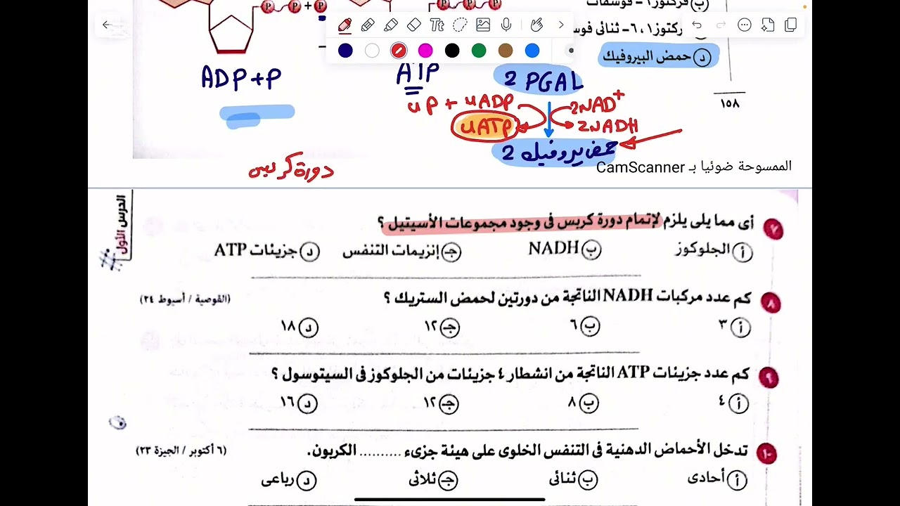 حل التنفس الخلوي. كتاب الامتحان . الصف الثاني الثانوي