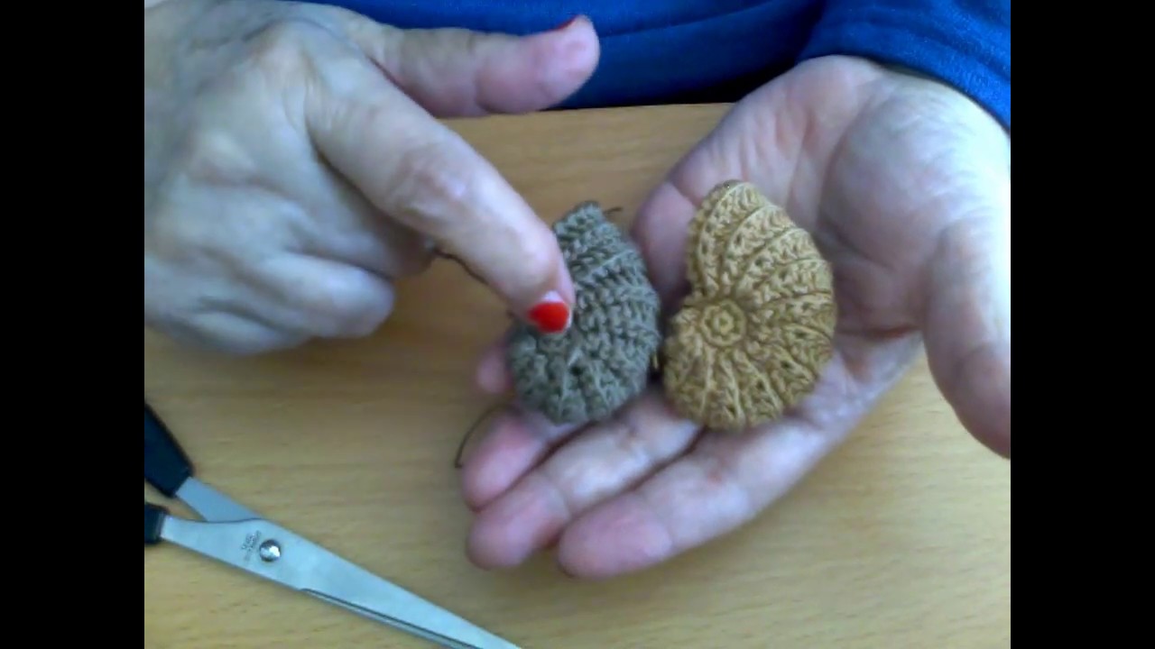 conchiglia2 (acquario)