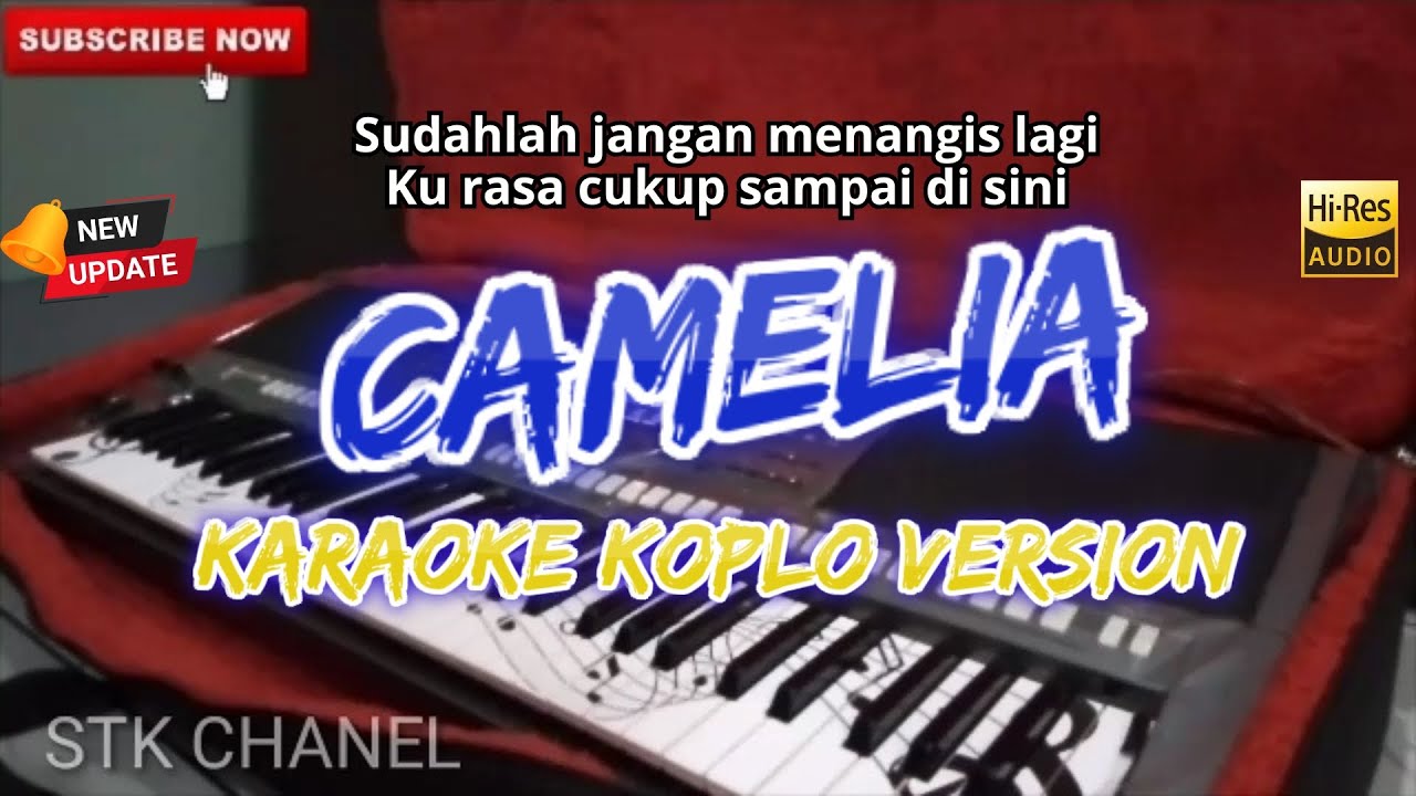 CAMELIA (SUDAHLAH JANGAN MENANGIS LAGI) KARAOKE DANGDUT KOPLO STK CHANNEL 