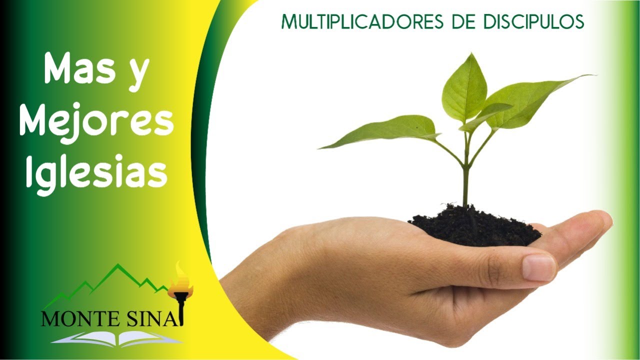 como plantar iglesias saludables  proceso de plantación