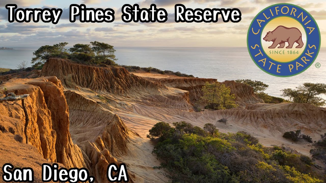 ULTIMATE GUIDE to Torrey Pines - San Diego’s BEST Hiking Destination | California, USA (2022)
