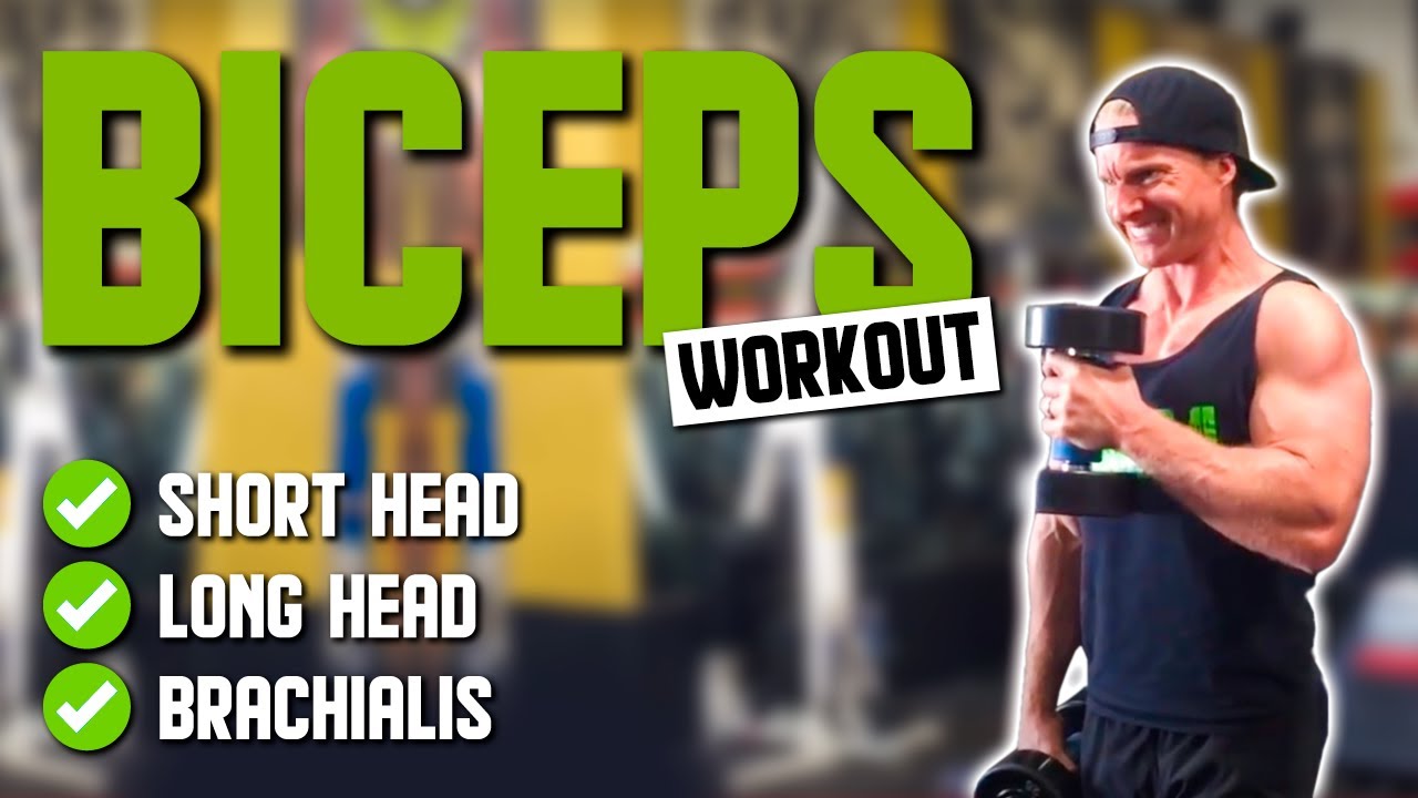 Ultimate Biceps Workout For The Long And Short Head