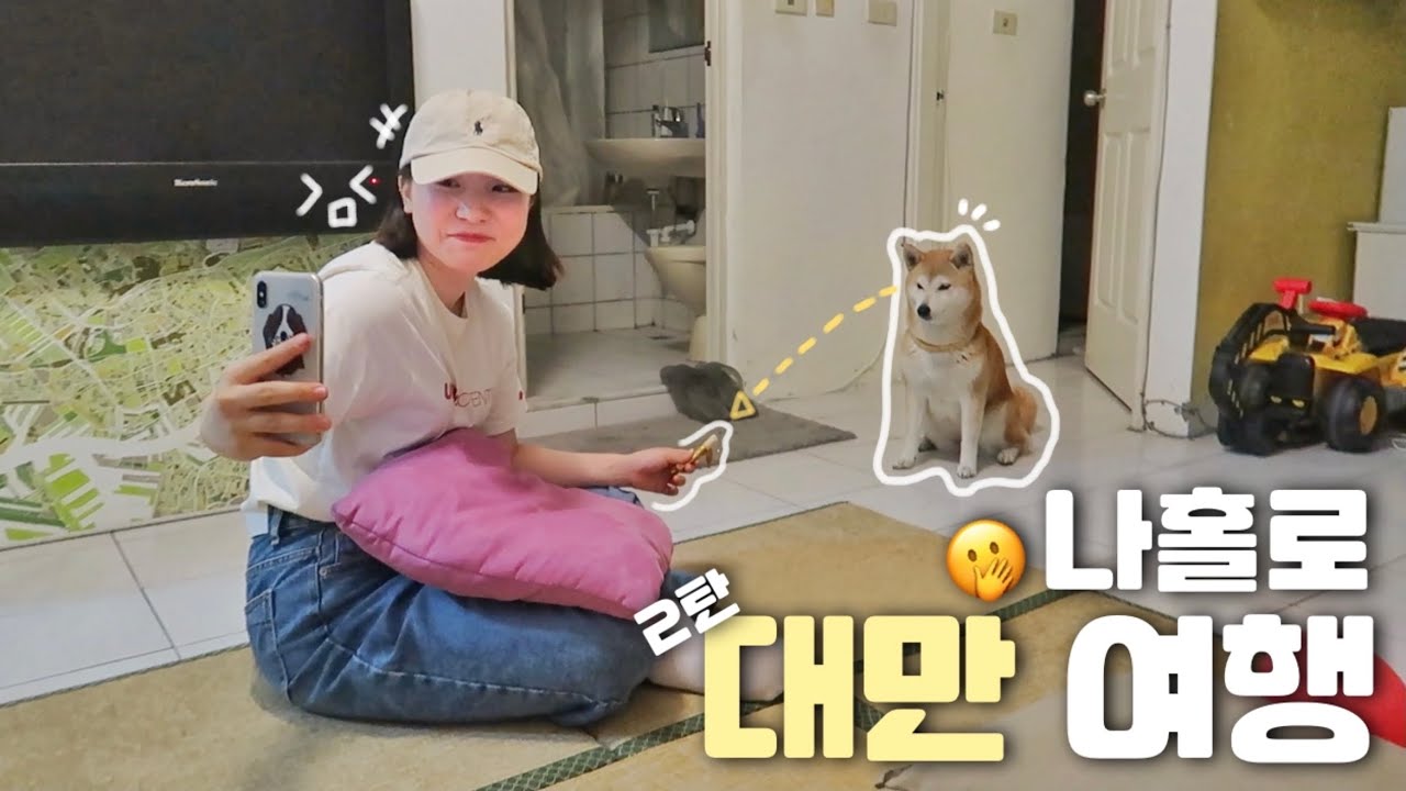 [🇹🇼ep:2] 숙소에 왔더니 웬 시바견이...🐶//20살 혼자 떠난 대만 3박4일 여행 vlog💖