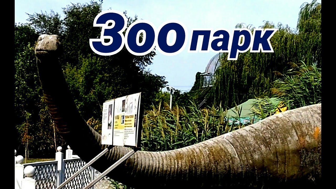 Прогулка по Зоопарку, Ростов на Дону, Сентябрь.
