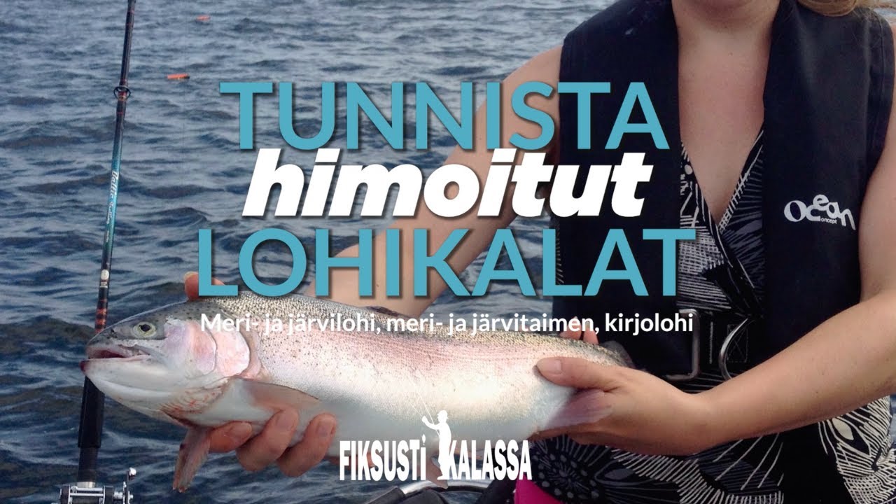 Tunnista himotut lohikalat | Fiksusti kalassa
