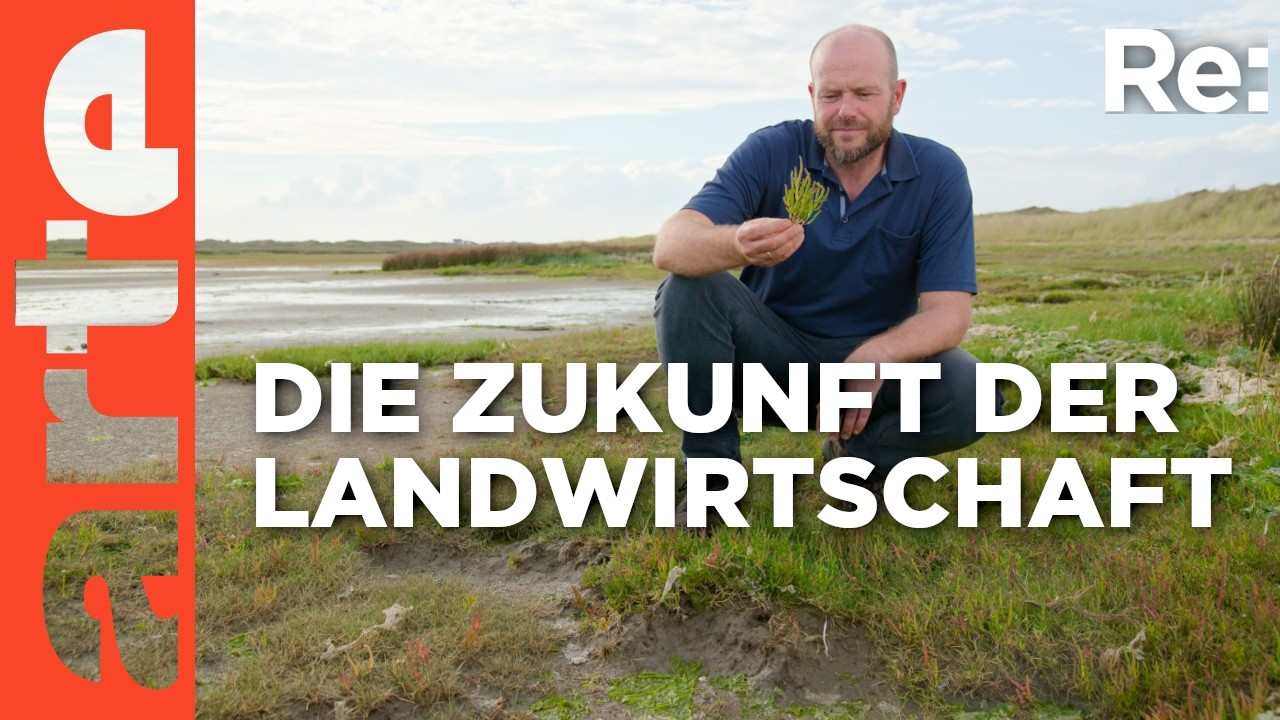 Bedrohte Lebensmittel: Olivenöl | ARTE Re: