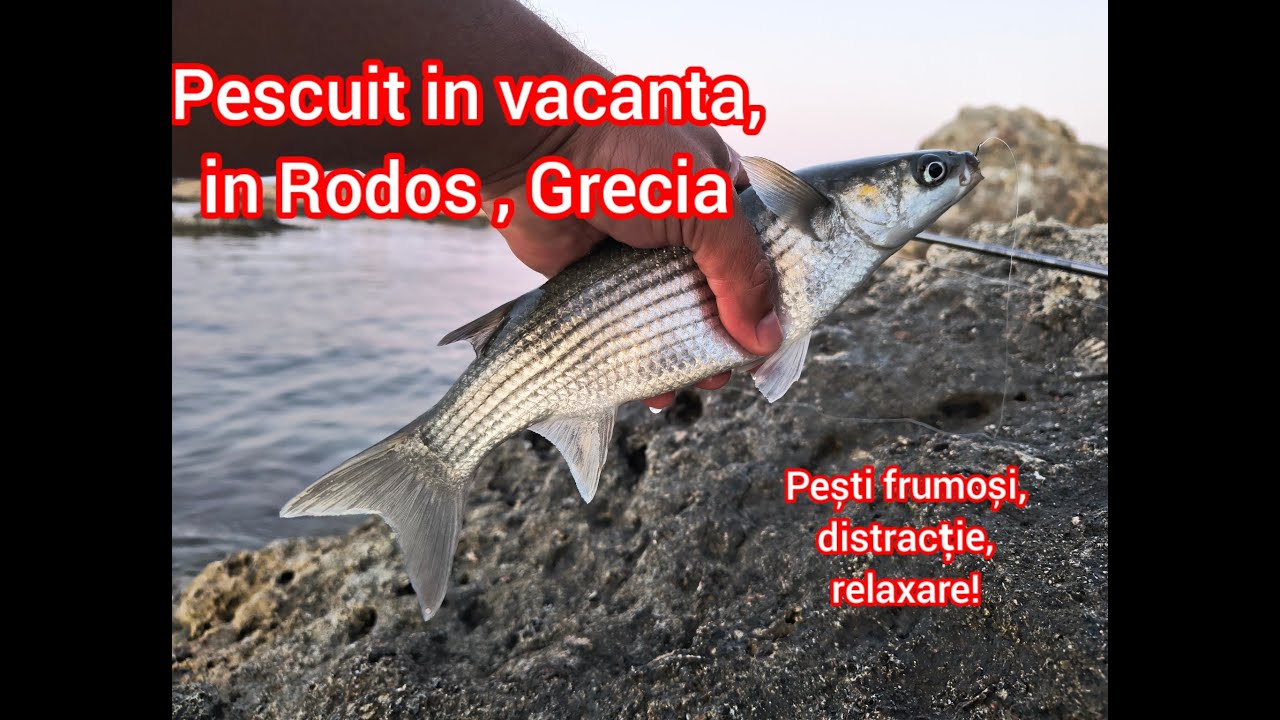 Pescuit in vacanta in insula Rodos, Grecia 2025. Fishing in Rhodes island, Greece 2025.