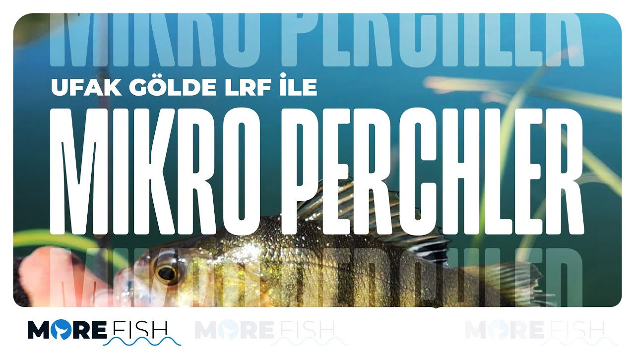 Ufak Gölde Mikro Perch Avı
