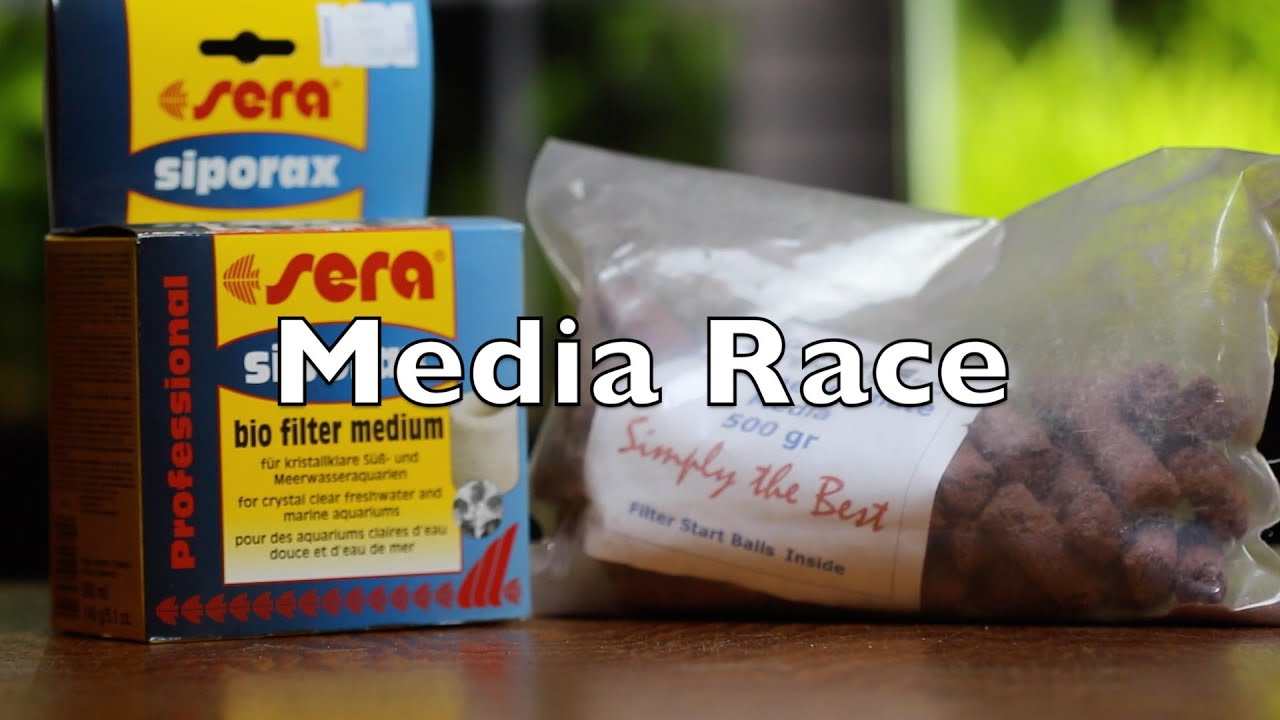 Media Race