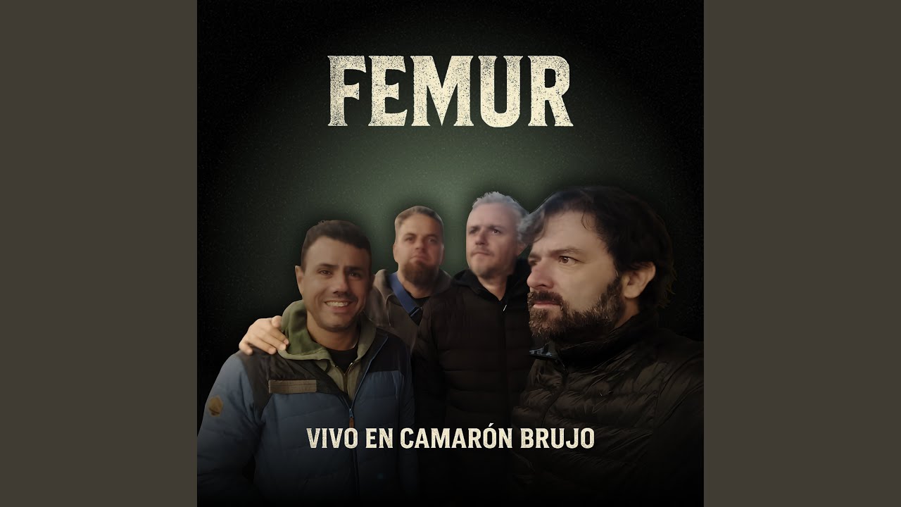 Vaya Toro