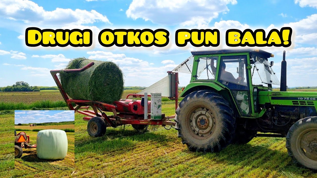 Odličan prinos! | Drugi otkos talijanskog ljulja!