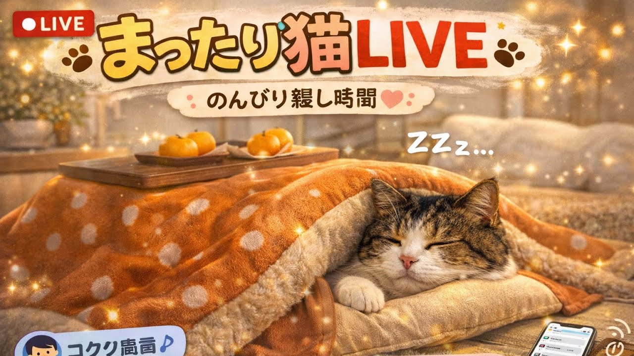 【LIVE】こたつ猫のまったり時間🐱コメント歓迎｜作業・雑談OK