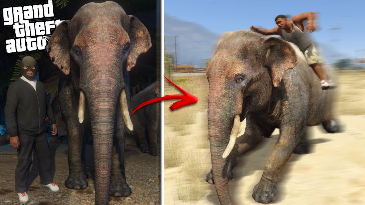 FRANKLIN STEALS an ELEPHANT from the ZOO (GTA 5 Mods)