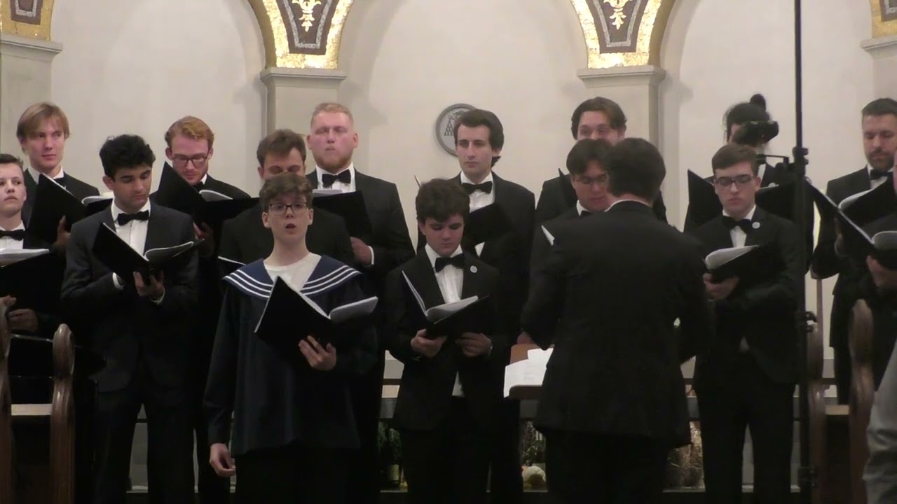 Zürcher Sängerknaben (5. Oktober 2024) Franz Schubert, Nachthelle