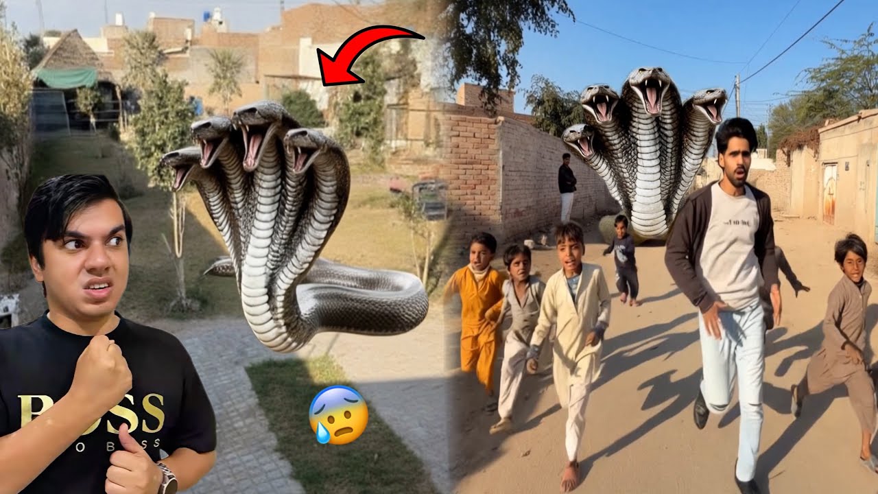 Big Snake waleed Ny Piche Laga dea 😱| bache Darh Gaye 😰