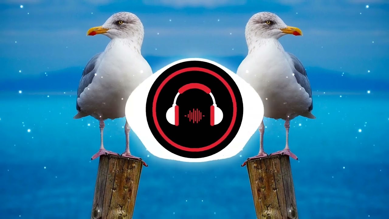 Cypis - Biała Mewa ('70S' RE-WORKED)
