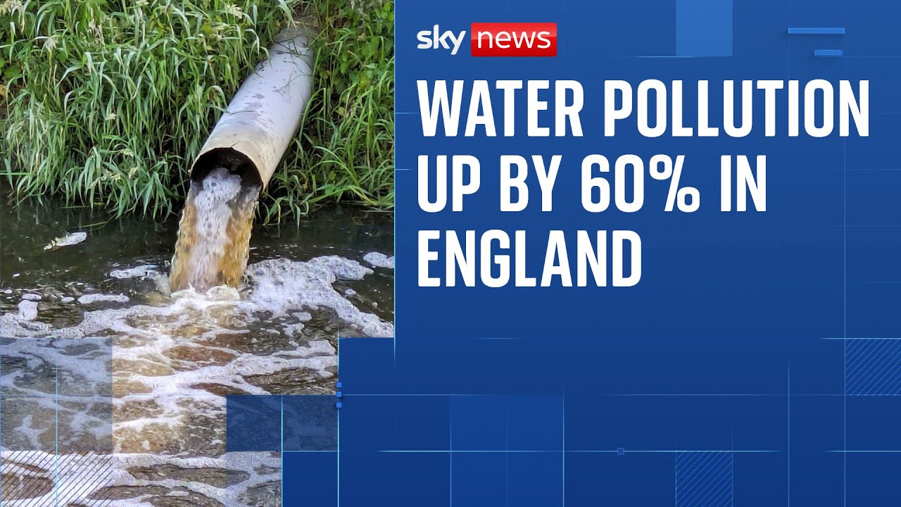 Serious water pollution incidents are up by 60% in England