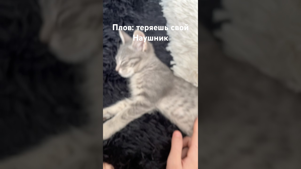 ВОЗРОЖДЕНИЕ ТРЕНДА ;) 