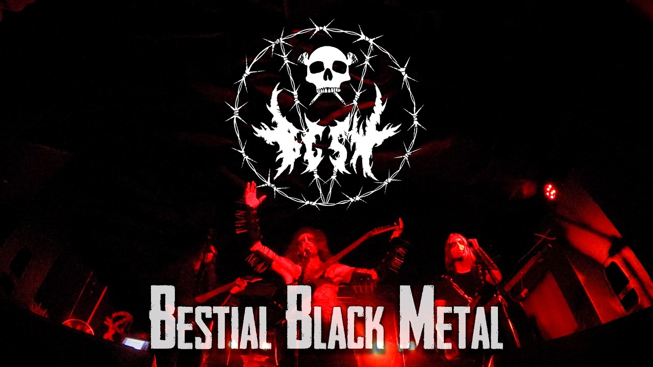 BGSW. Live in Tomsk. 23.01.2026.