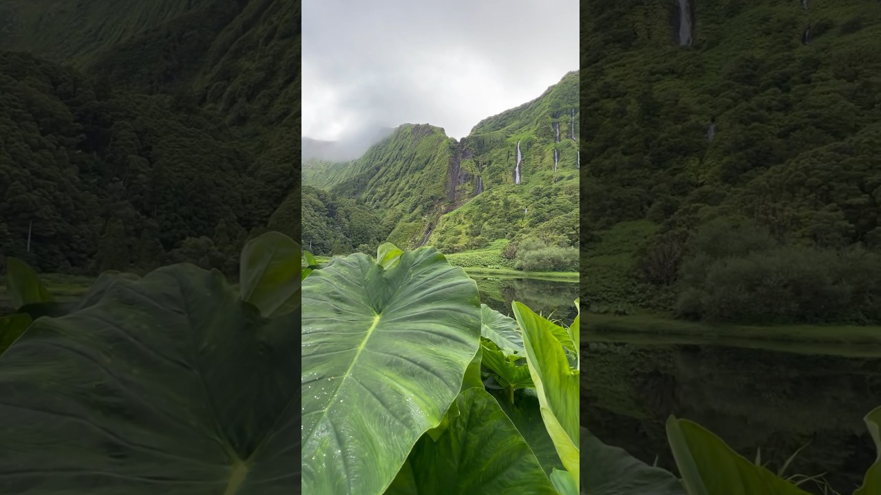 I found Jurassic Park in real life 🦖🎋#flores #azores #portugal