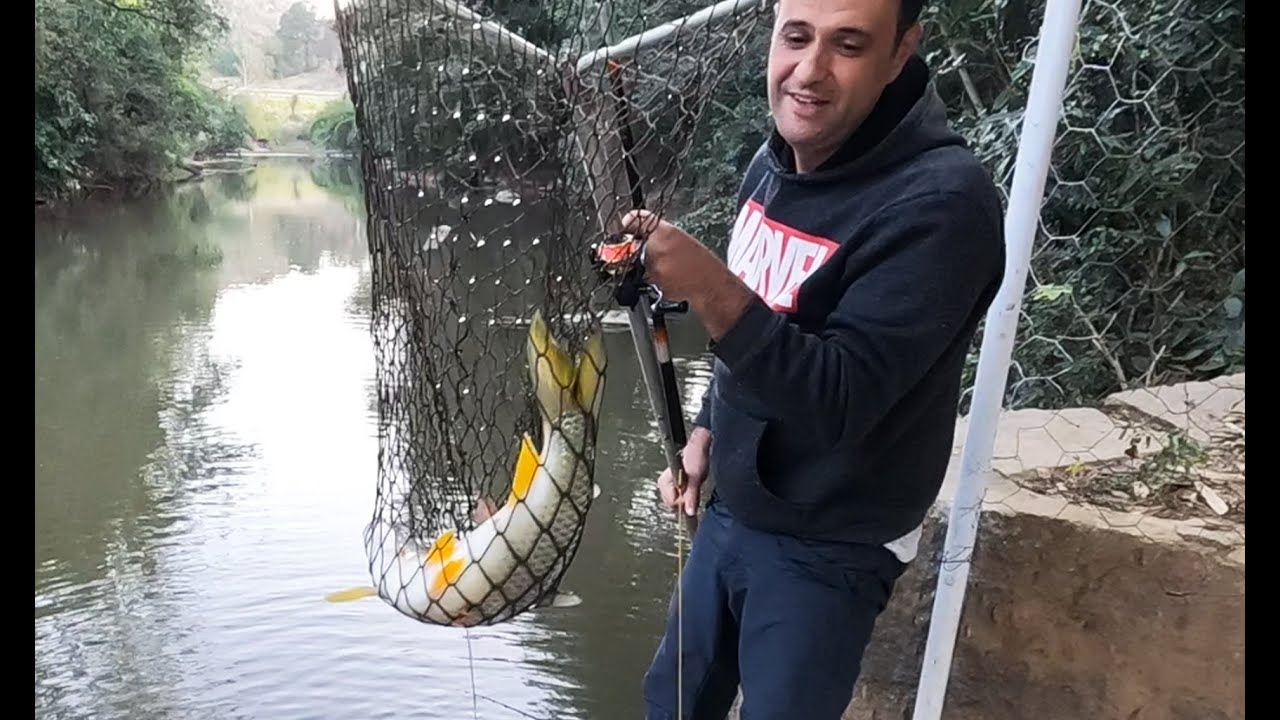 AS PIAPARONAS VOLTARAM NO RIO ATIBAIA!