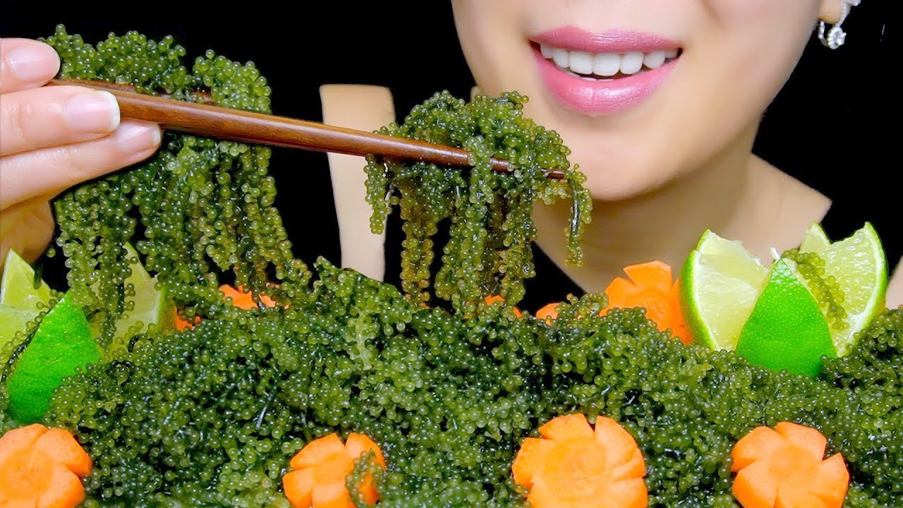 ASMR EATING RAW SEA GRAPES | UMIBUDO| EXTREME CRUNCH EATING SOUNDS | TracyN ASMR
